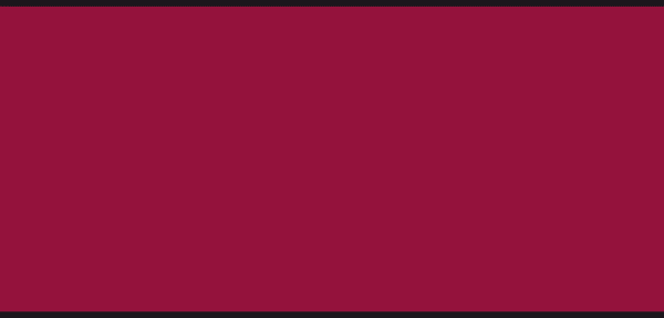 P821A N