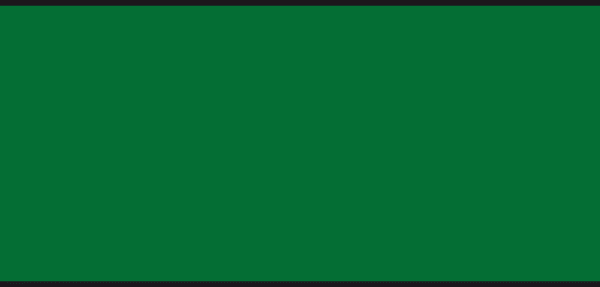 P876 N